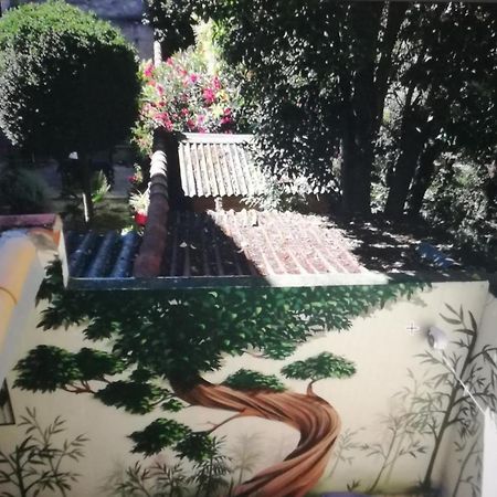 Suite Volupté classée 3 étoiles avec vue sur Jardins, Garage et Climatisation Montpellier Extérieur photo